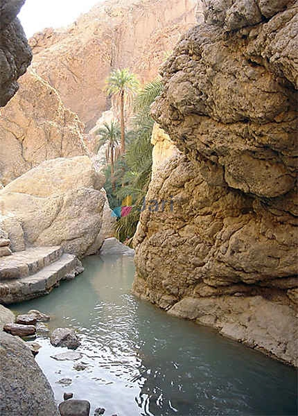 Tozeur - Oasis Chebika