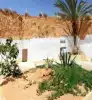 Photo 5 de Circuit Grand Tour Tunisien