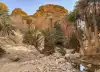 Photo 2 de Circuit Tamerza, Chebika et canyon de Midès