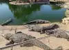 Photo 2 de Visite du parc aux crocodiles et du musée de Djerba avec prise en charge à l'hôtel