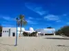 Photo 4 de Visite du parc aux crocodiles et du musée de Djerba avec prise en charge à l'hôtel