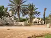 Photo 5 de Visite du parc aux crocodiles et du musée de Djerba avec prise en charge à l'hôtel