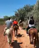 Photo 3 de CLUB HORSELAND -  30min Balade Forestière