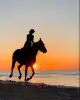 Photo 2 de CLUB HORSELAND -  1h Balade au bord de la mer