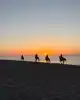 Photo 4 de CLUB HORSELAND -  1h Balade au bord de la mer