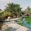 Photo 4 de Visite du parc crocodile