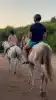 Photo 2 de Mezza Club Equitation Bizerte