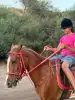 Photo 4 de Mezza Club Equitation Bizerte