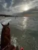Photo 5 de Mezza Club Equitation Bizerte