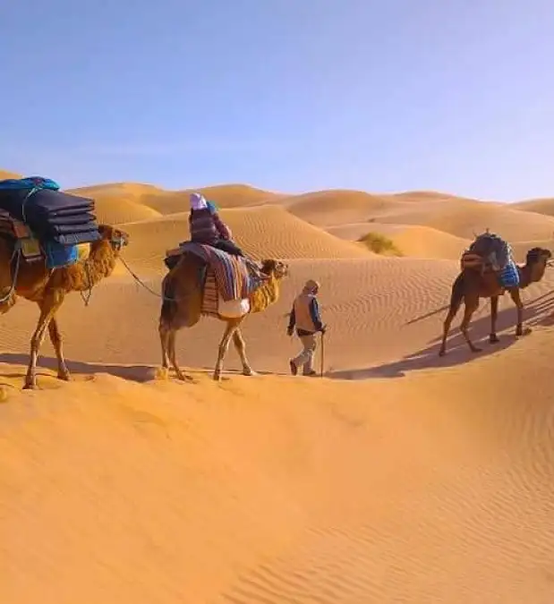 Photo 1 de Circuit Douz – Ksar Ghilane, Douz (8 jours)