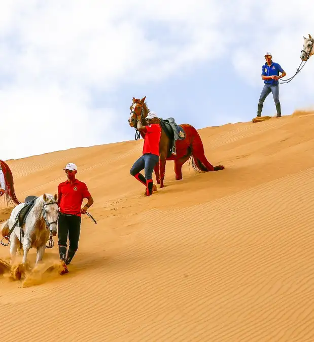 Photo 1 de Circuits A dos de Cheval Douz – Ksar Ghilane, Douz (8 jours)