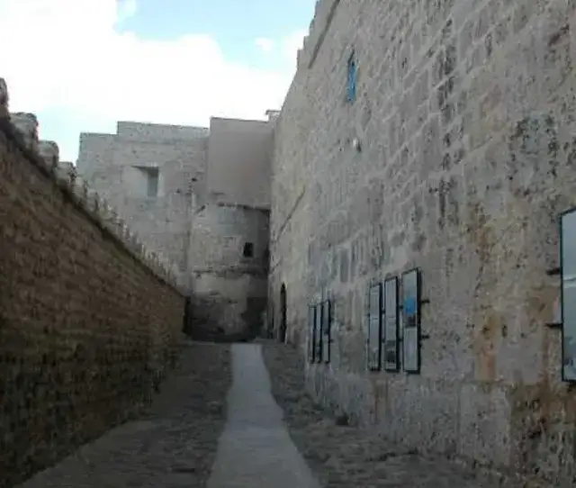 Photo 1 de Visite d'une journée au Cap Bon + déjeuner