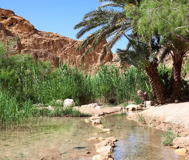 Photo 1 de Découverte des Oasis & Sahara