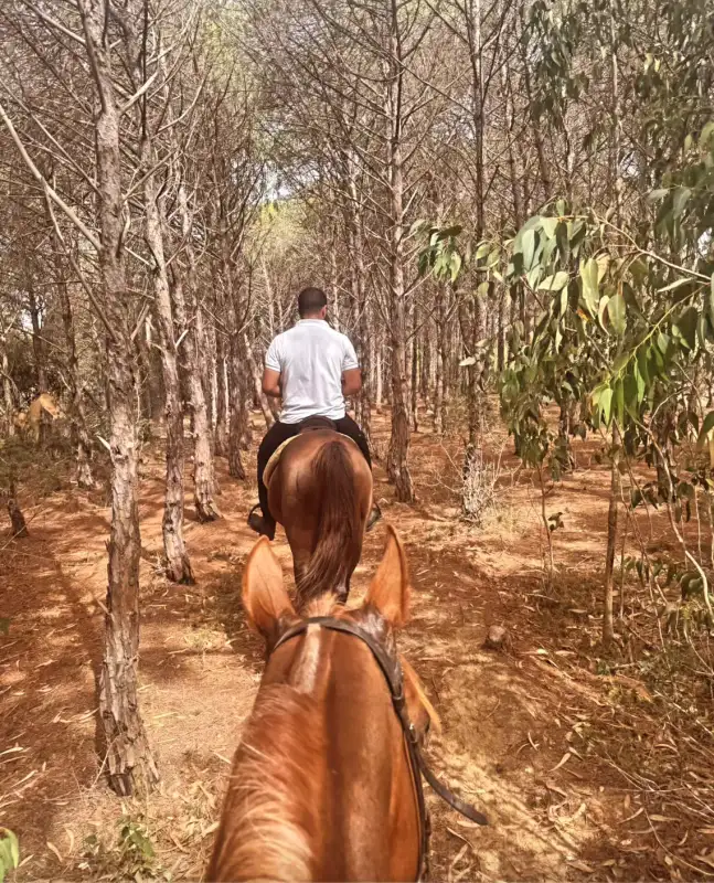Photo 1 de CLUB HORSELAND -  30min Balade Forestière