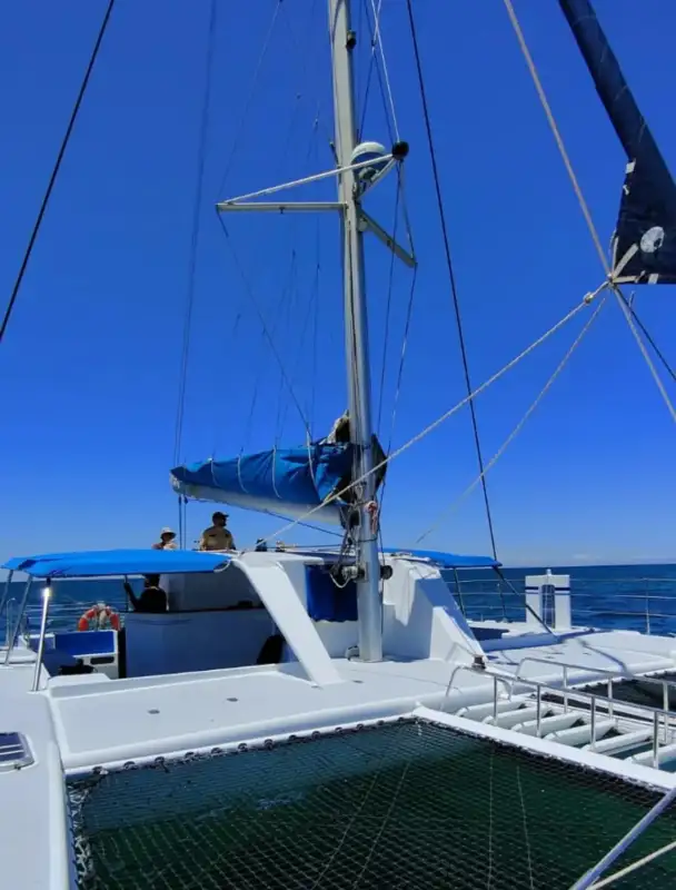Photo 1 de Sortie Catamaran Boisson soft & Fruits frais inclus