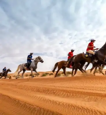 Circuits A dos de Cheval Douz – Ksar Ghilane, Douz (8 jours)
