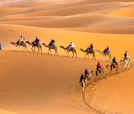 Safari désert (Quad, sandboarding, Promenade chameau + dîner au camp)