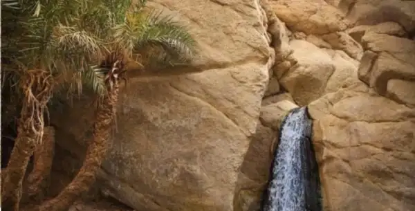 Circuit Tamerza, Chebika et canyon de Midès