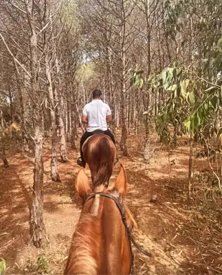 CLUB HORSELAND -  1h Balade Forestière