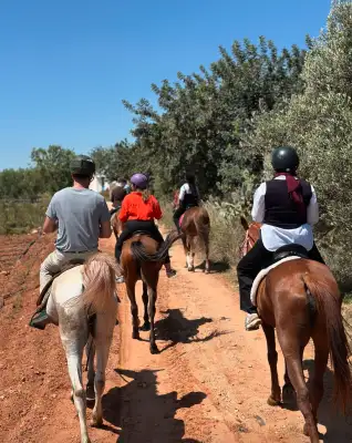 CLUB HORSELAND -  30min Balade Forestière