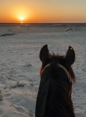 2h Balade au Lever du Soleil