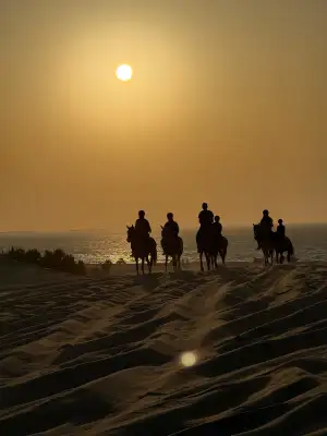 Mezza Club Equitation Bizerte