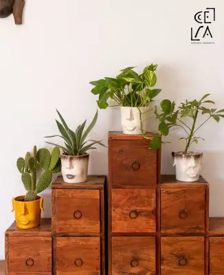 Cera Concept La Goulette