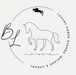 Logo de Luxury Horse riding