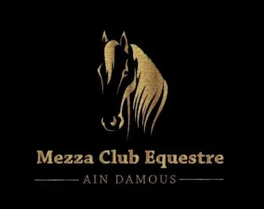 Logo de Mezza club Bizerte